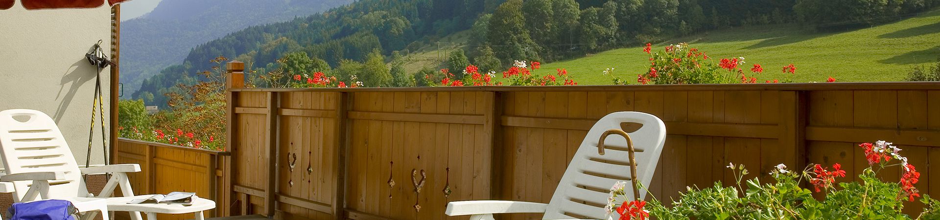 hotel-union-savoie